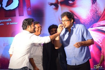 Temper Movie Success Meet